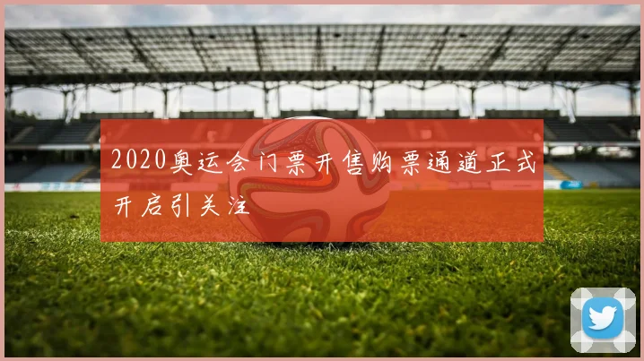 2020奥运会门票开售购票通道正式开启引关注